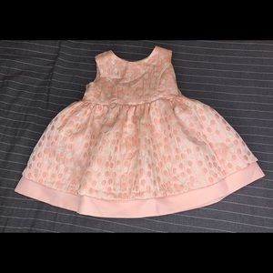 Petite Frais Nordstrom